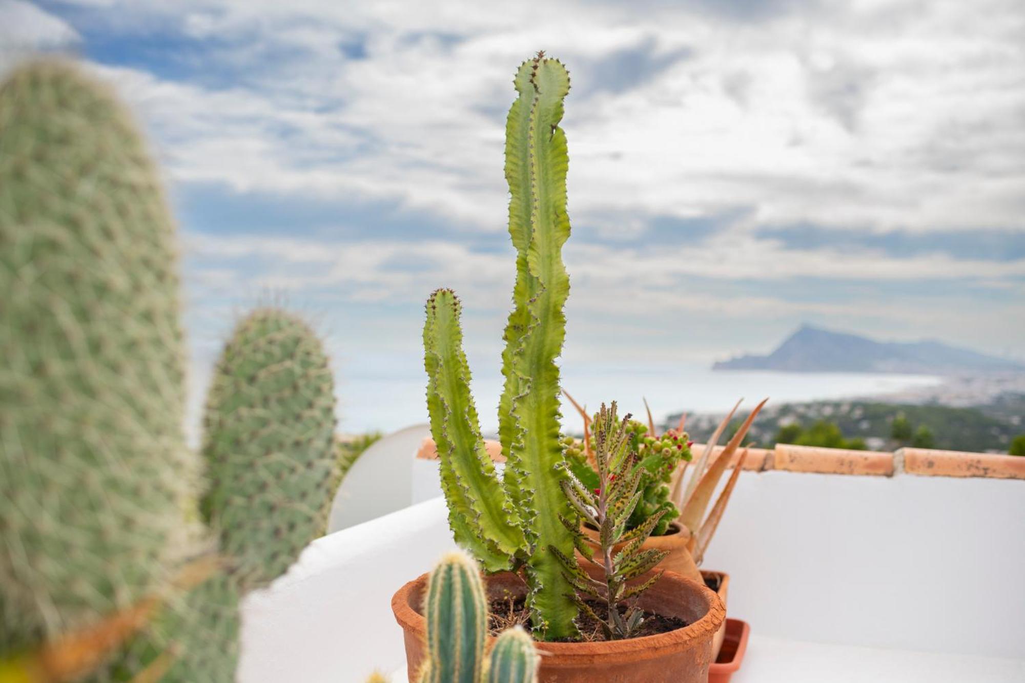 Vil·la La Corniche Piscine, Parking & Wi-fi Altea
